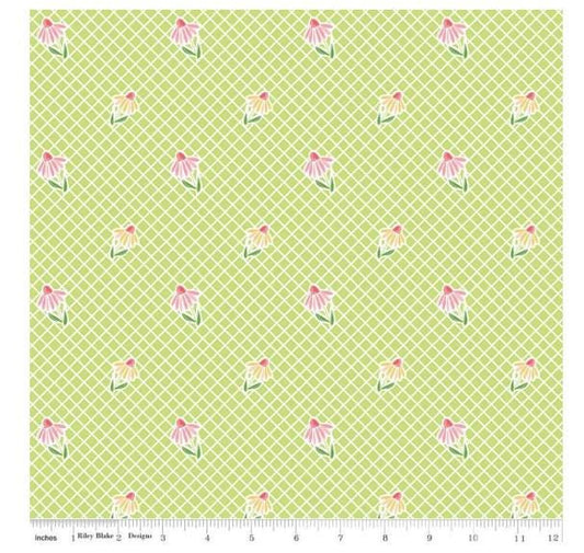 FABRIC SUMMER SKIES Cone Flowers on Lattice Lime Riley Blake