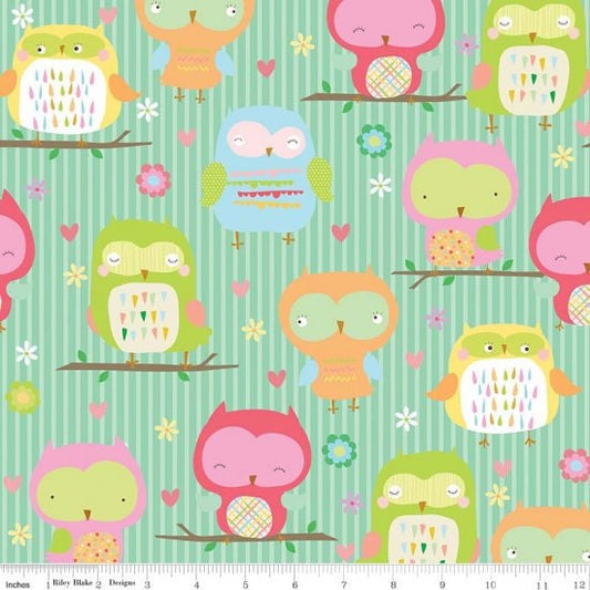 Clearance FABRIC FLANNEL OWLS and Company  Stripped Sleepy Owls 42" long piece  Fabric is a Flannel